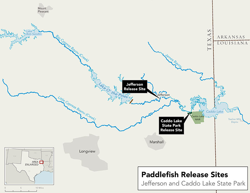 Paddlefish Release Sites